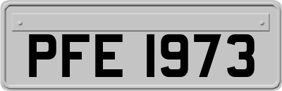 PFE1973