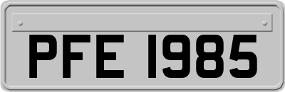 PFE1985