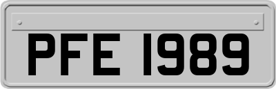 PFE1989
