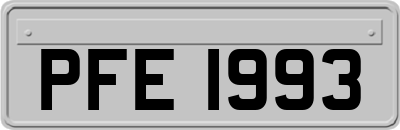 PFE1993
