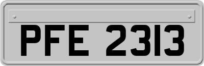 PFE2313
