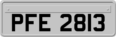PFE2813