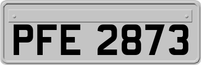 PFE2873
