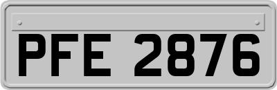 PFE2876