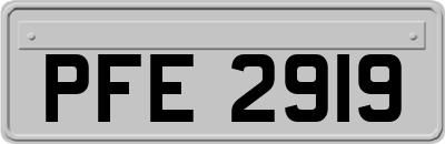 PFE2919