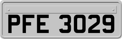 PFE3029