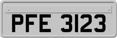 PFE3123