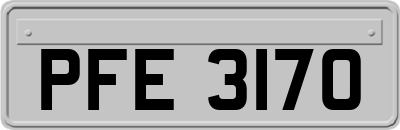 PFE3170