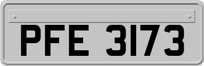 PFE3173