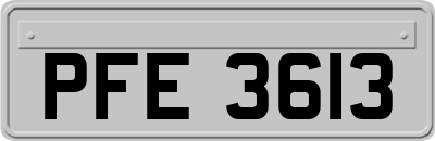 PFE3613