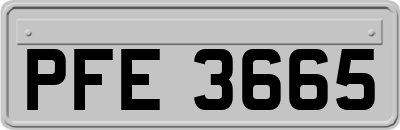 PFE3665