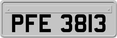 PFE3813