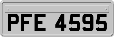 PFE4595