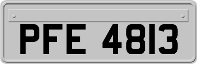 PFE4813