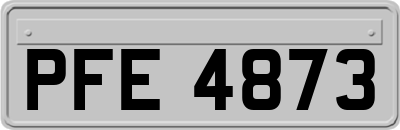 PFE4873