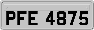 PFE4875