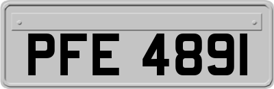 PFE4891