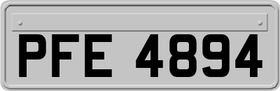 PFE4894