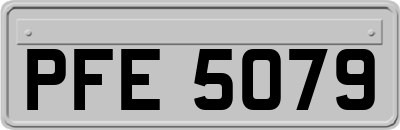 PFE5079