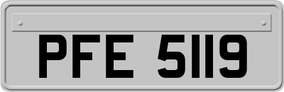 PFE5119