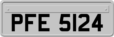 PFE5124