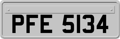 PFE5134