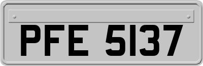 PFE5137