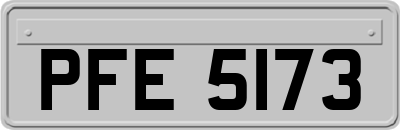 PFE5173