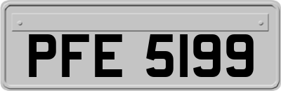 PFE5199