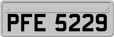 PFE5229