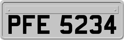 PFE5234