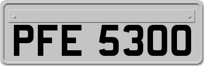 PFE5300