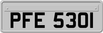 PFE5301