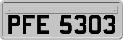 PFE5303