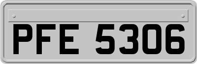 PFE5306
