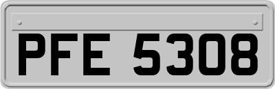 PFE5308