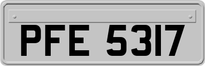 PFE5317