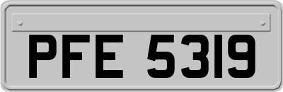 PFE5319