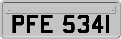 PFE5341