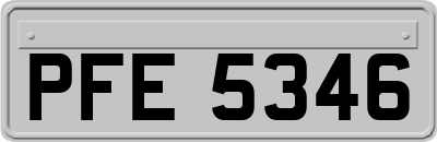 PFE5346
