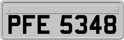 PFE5348