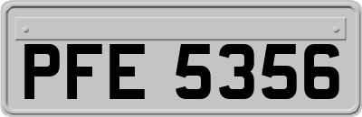 PFE5356