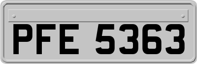 PFE5363
