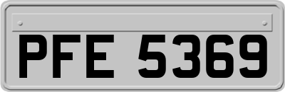 PFE5369