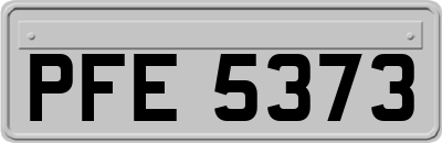 PFE5373