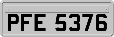 PFE5376