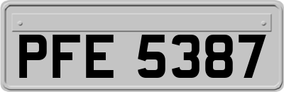 PFE5387
