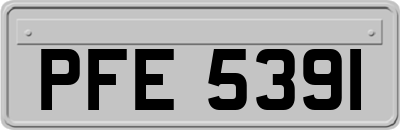 PFE5391