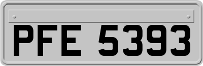 PFE5393