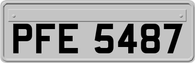 PFE5487